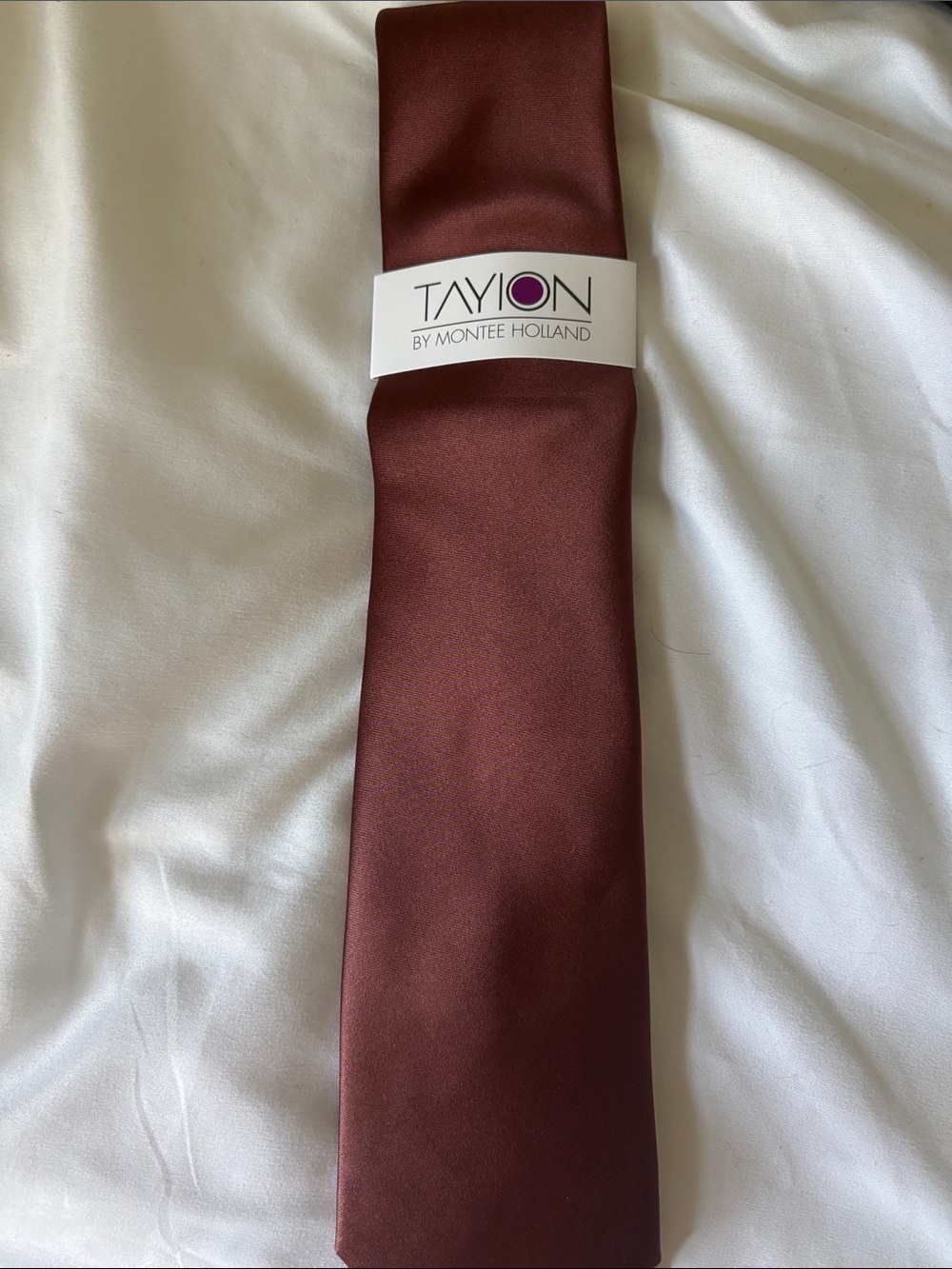 Tayion Men's Solid Brown Tie